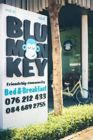 Blu Monkey Bed & Breakfast 