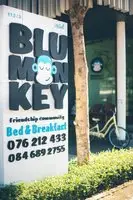 Blu Monkey Bed & Breakfast 