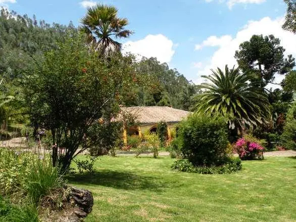 Finca San Pedro 