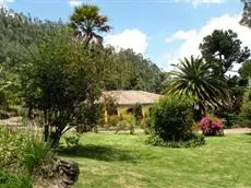 Finca San Pedro 