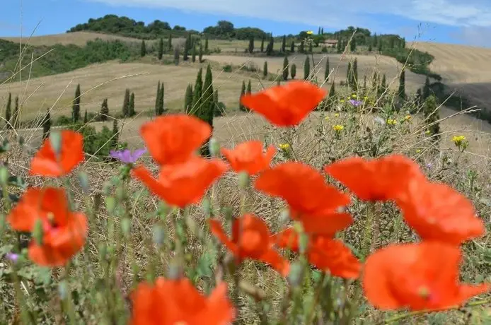 Le Ginestre Arte Vacanze 