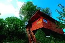 The Tree House Resort 