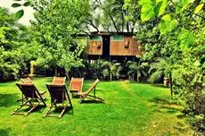 The Tree House Resort 