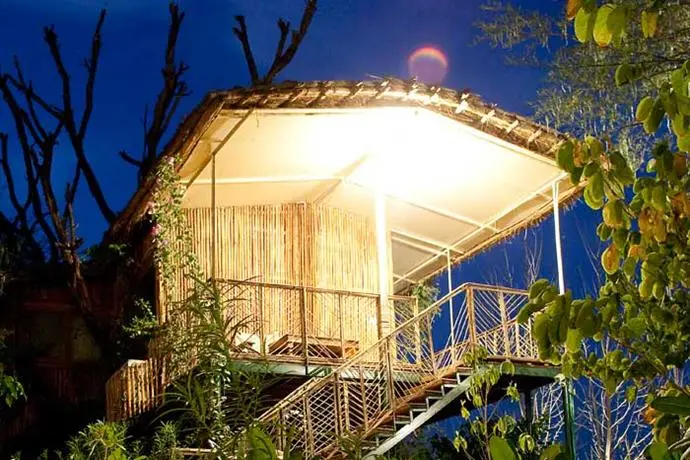 The Tree House Resort 