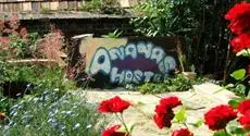 Ananas Hostel 