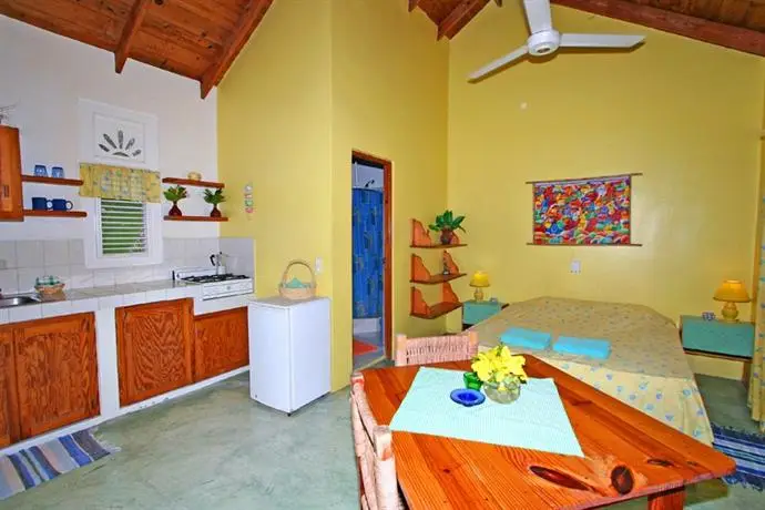 Cabarete Surf Camp 