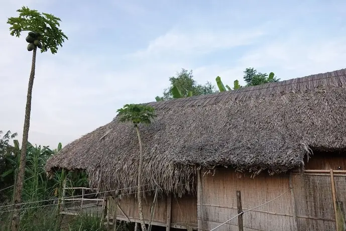 Nguyen Shack - Mekong Can Tho 