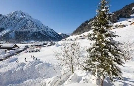 Hotel Steinbock Mittelberg 