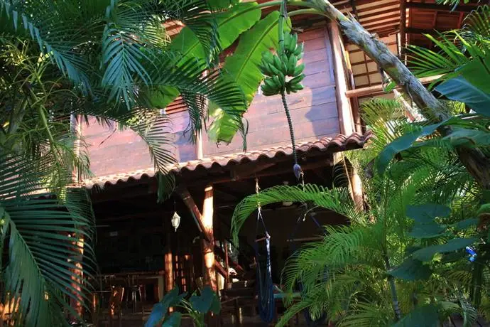 Funky Monkey Lodge 