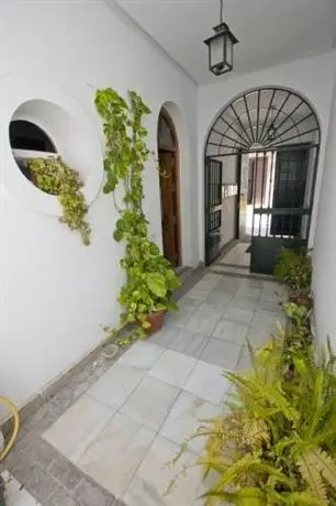 El Baobab Hostel 