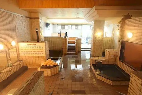 Hotel Yudanaka 