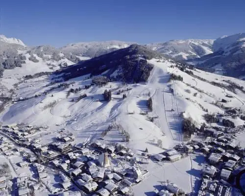 Chalet Panorama 