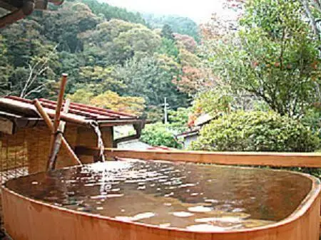 Sakaya Ryokan Yoshina Onsen 