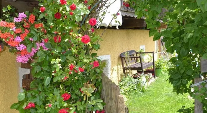 Bio Ferienbauernhof Ottingerhof