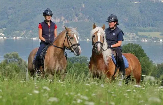 Hotel Gasthof zur Wacht