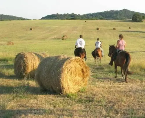 Parco del Lago glamping and lodges 