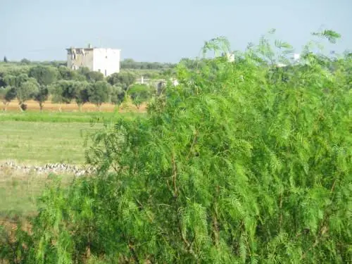 Casa Colonica Liliane 