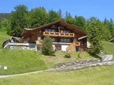 Chalet Spinne 