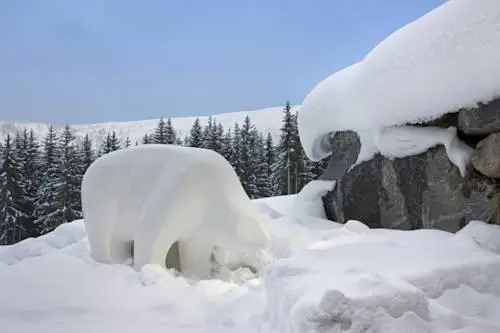 Les 2 Chalets - les appartements du Strato