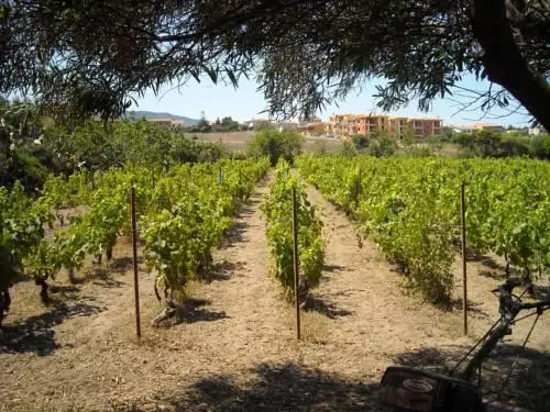 Agriturismo Crabileddu 