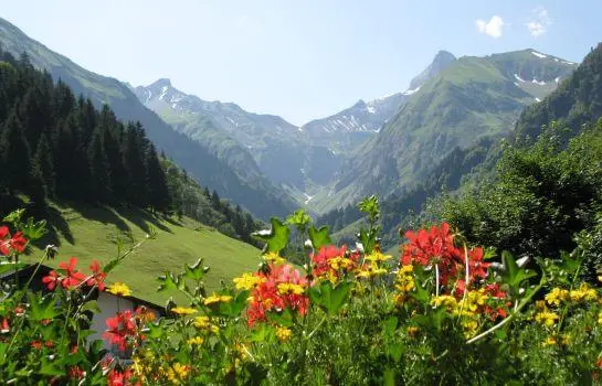 Ferienparadies Spielmannsau 