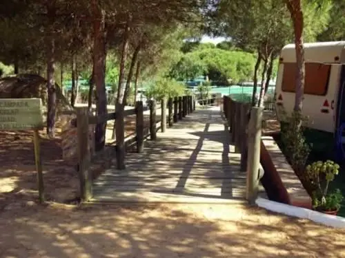 Camping Playa La Bota