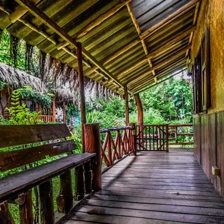 Chiang Dao Hut 