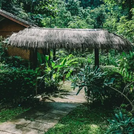 Chiang Dao Hut 