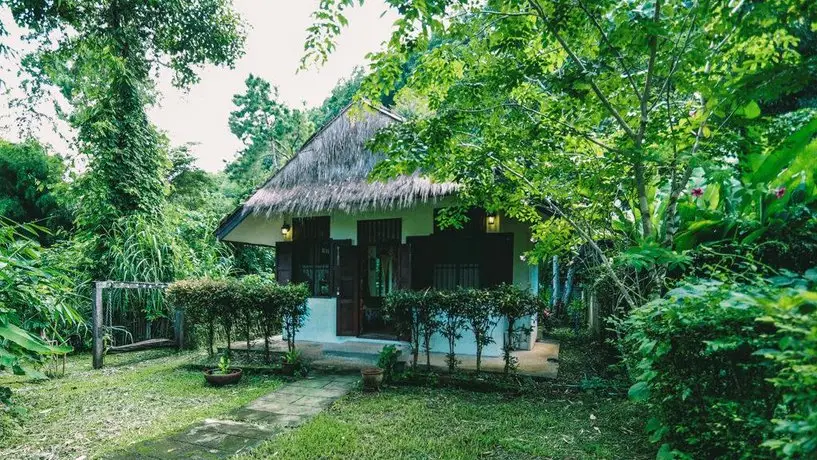 Chiang Dao Hut 