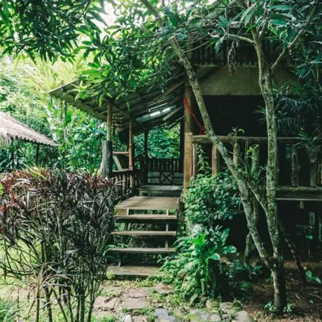 Chiang Dao Hut 