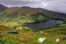 Harbour View B&B Beara Peninsula 