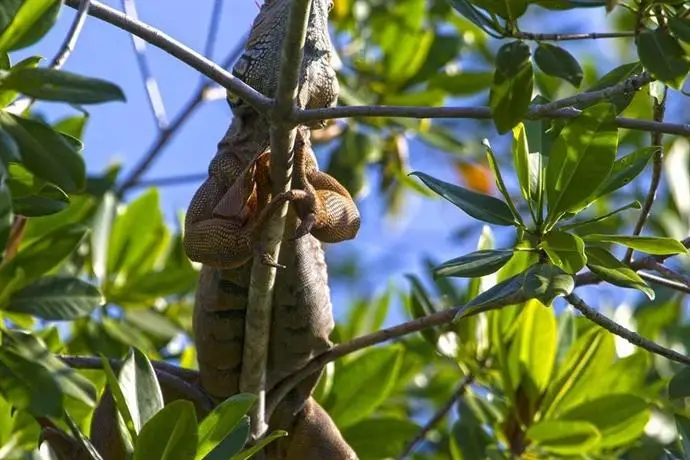 Posada Pachamama 