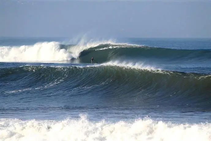 Andy's Surf Villa & Bungalows 