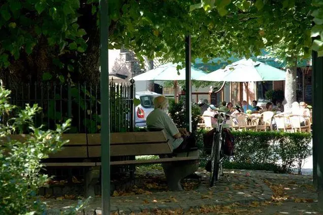 Hotel de Paddestoel 