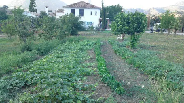 Casa Rural Huerta La Terrona