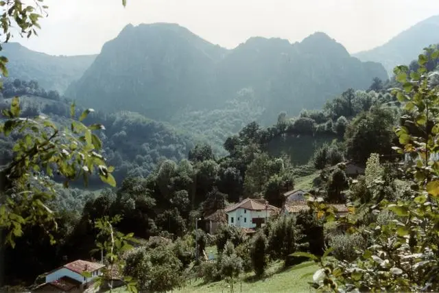 Casa Rural La Tilar 