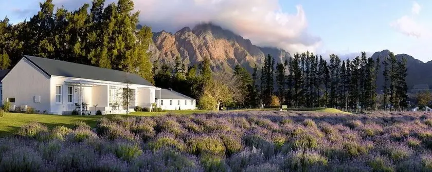 Lavender Farm Guest House 