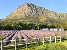 Lavender Farm Guest House 