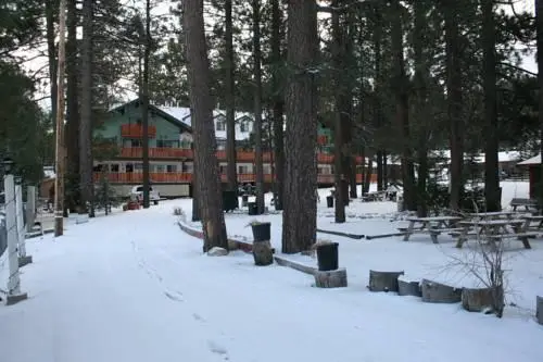 Honey Bear Lodge & Cabins 