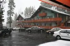 Honey Bear Lodge & Cabins 