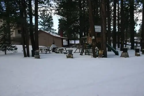 Honey Bear Lodge & Cabins 