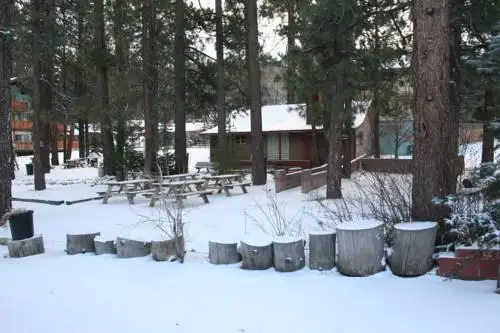 Honey Bear Lodge & Cabins 