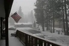 Honey Bear Lodge & Cabins 