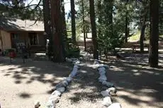 Honey Bear Lodge & Cabins 