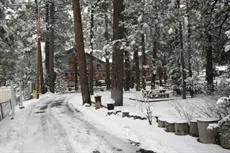 Honey Bear Lodge & Cabins 