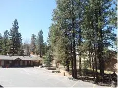 Honey Bear Lodge & Cabins 