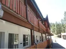 Honey Bear Lodge & Cabins 