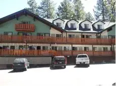 Honey Bear Lodge & Cabins 