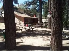 Honey Bear Lodge & Cabins 