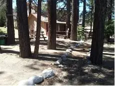 Honey Bear Lodge & Cabins 